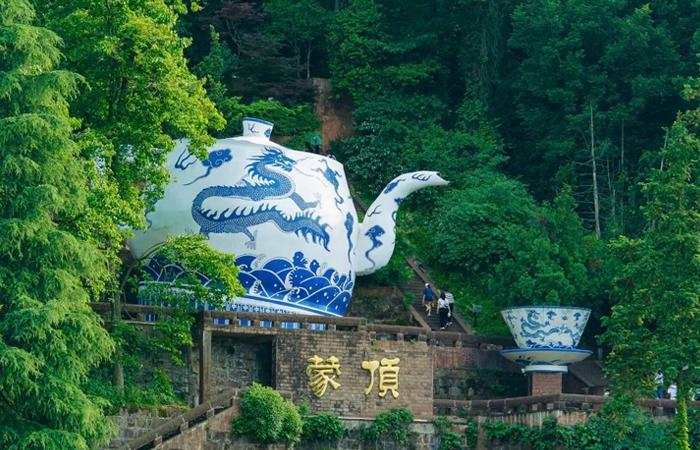 蒙山茶